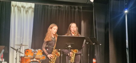 Koncert GS Trebnje na Mirni, foto Lapego (4)